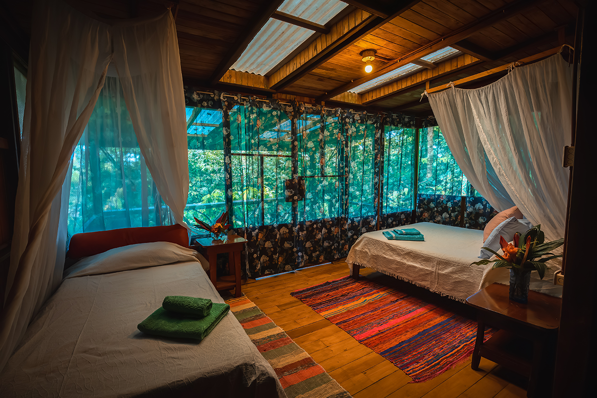 Jungle Suite Gavilán Bajo 2