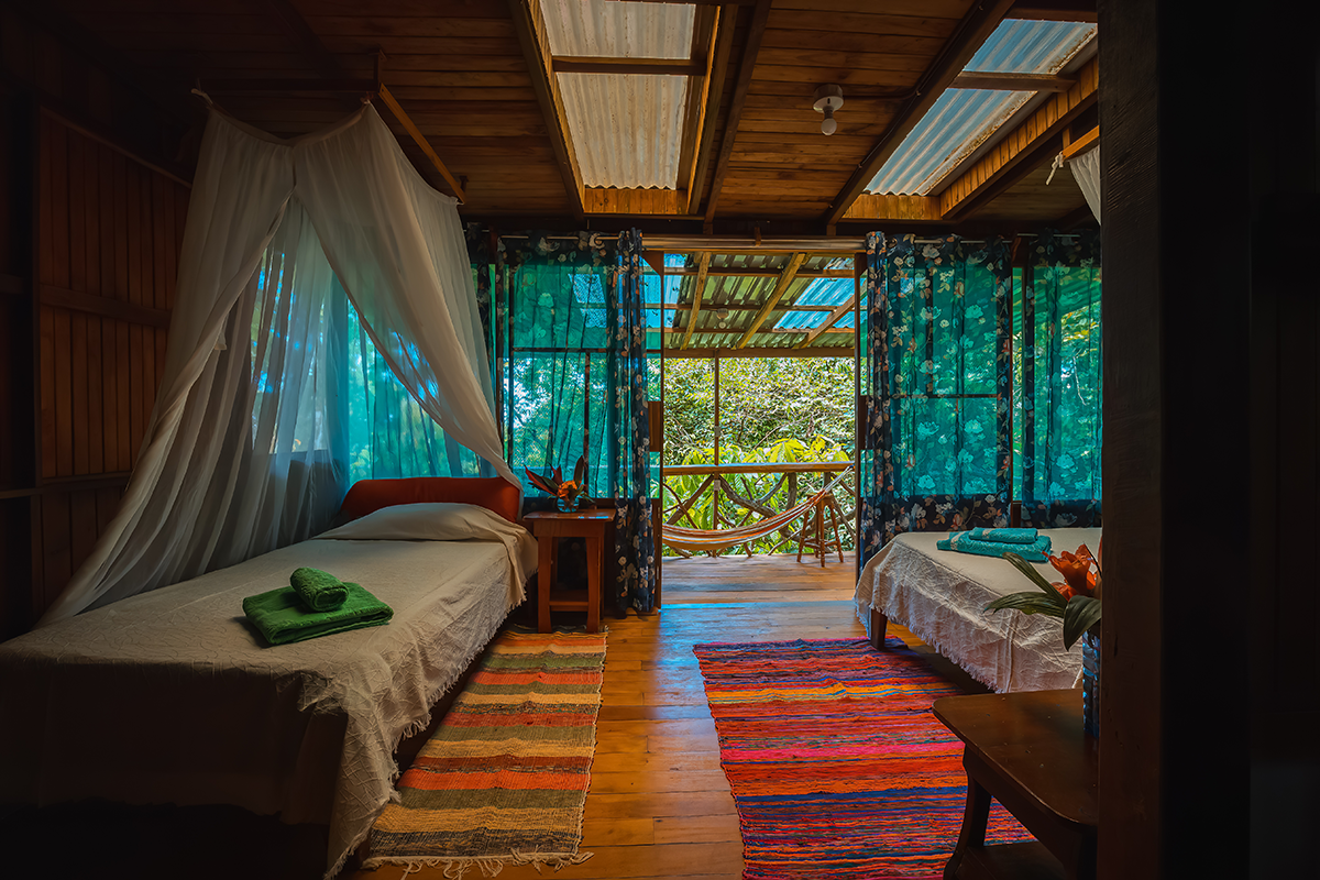 Jungle Suite Gavilán Bajo 4