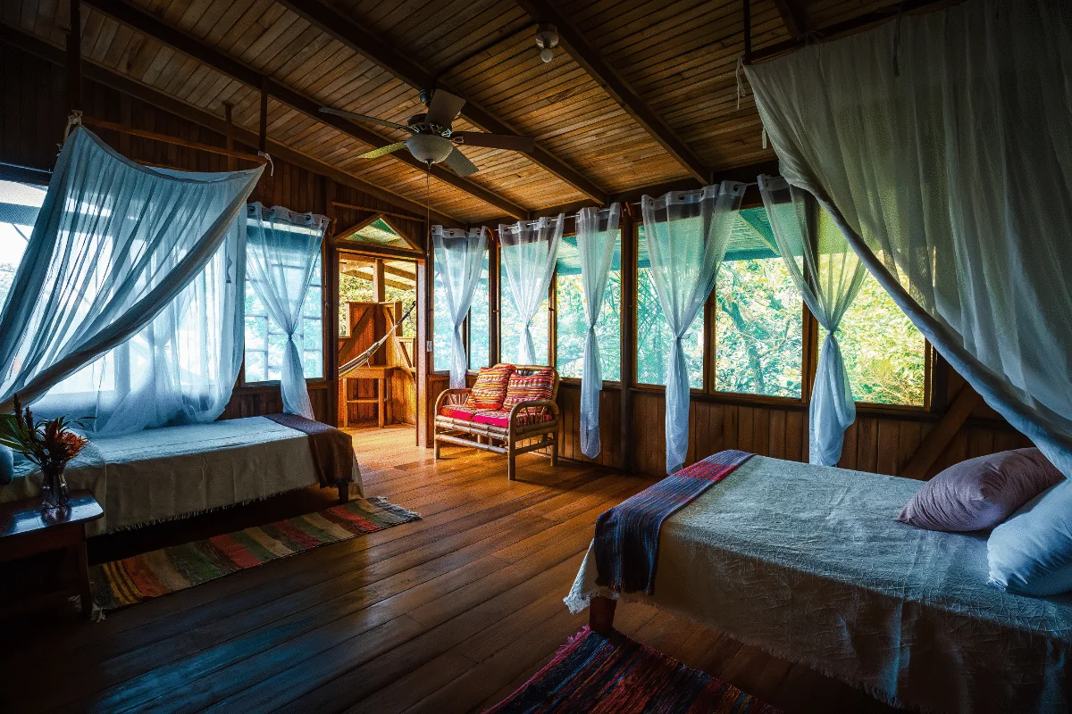 Jungle Suites of (8) compri