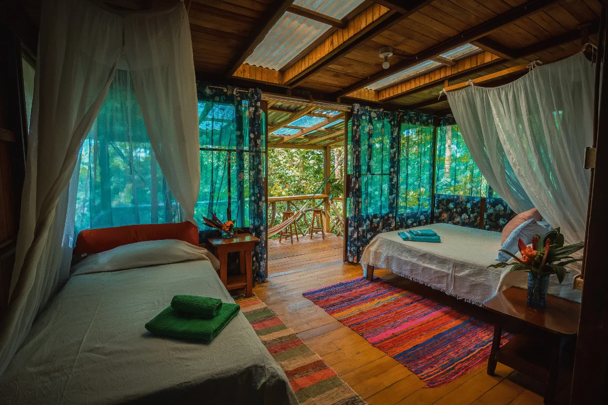 Jungle Suites of (9) compri